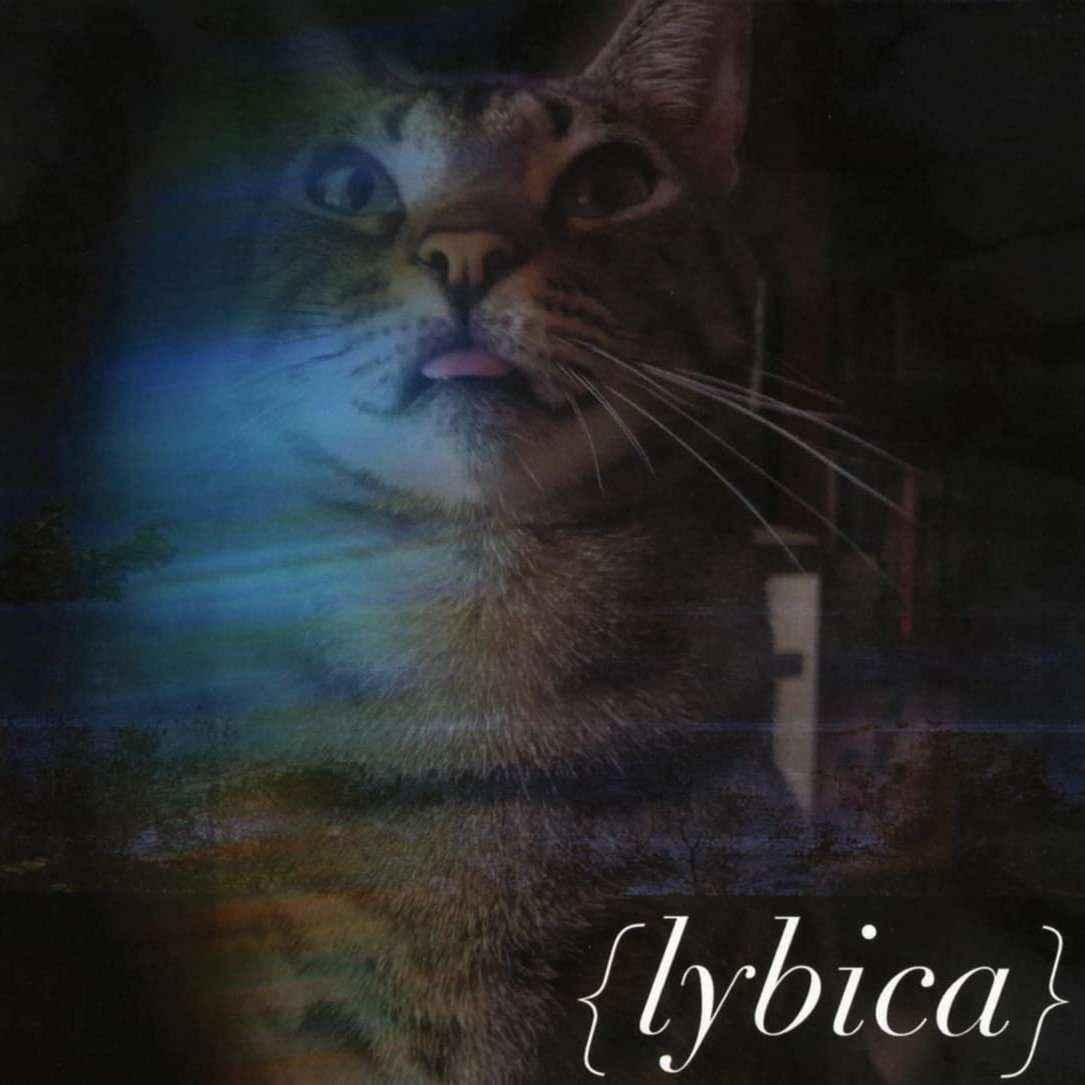 Kritik zu Lybica LYBICA