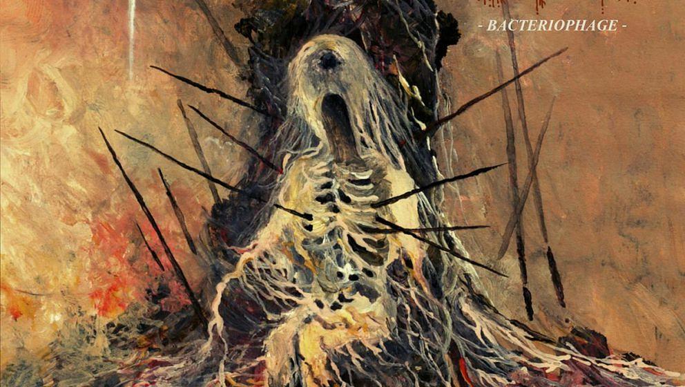Autophagy BACTERIOPHAGE