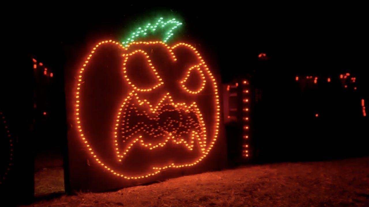 Kürbis singt ‘Master Of Puppets’ von Metallica