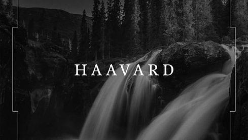 Haavard HAAVARD