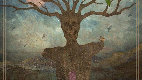 In The Woods... DIVERSUM