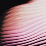 Polar EVERYWHERE, EVERYTHING