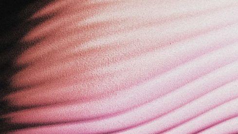 Polar EVERYWHERE, EVERYTHING