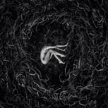 Fvnerals LET THE EARTH BE SILENT