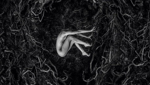 Fvnerals LET THE EARTH BE SILENT