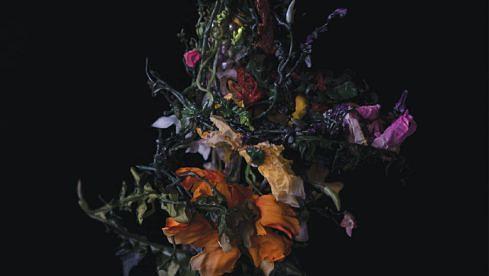 Big|Brave NATURE MORTE