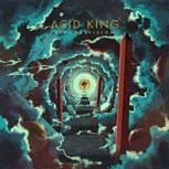 Acid King BEYOND VISION