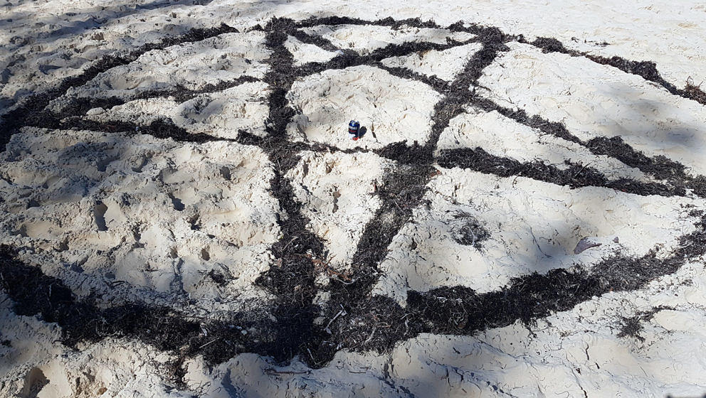 Das mystische Seetangpentagramm am Strand von Bimini