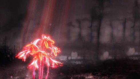 Enter Shikari A KISS FOR THE WHOLE WORLD