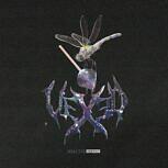 Vexed NEGATIVE ENERGY