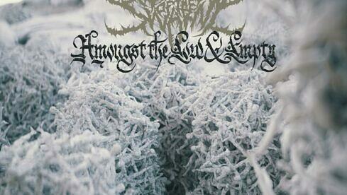 Signs Of The Swarm AMONGST THE LOW & EMPTY