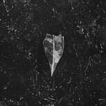 Bees Made Honey In The Vein Tree AION