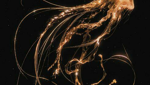 Royal Blood BACK TO THE WATER BELOW