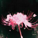 Blind Equation DEATH AWAITS