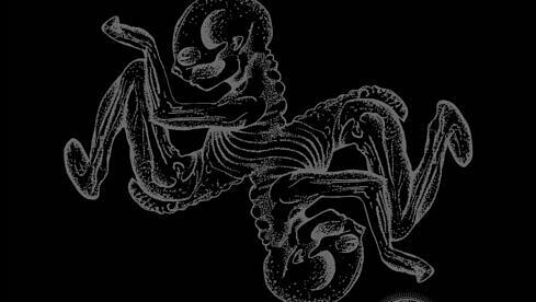 Décembre Noir YOUR SUNSET | MY SUNRISE