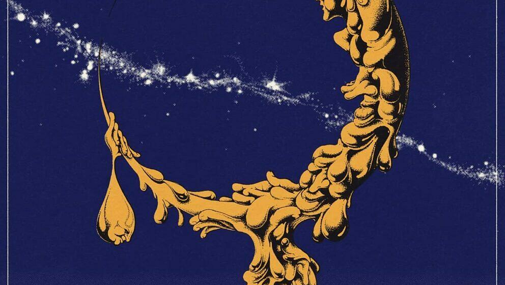 7. Pigs Pigs Pigs Pigs Pigs Pigs Pigs LAND OF SLEEPER