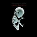 The Progressive Souls Collective SONIC REBIRTH