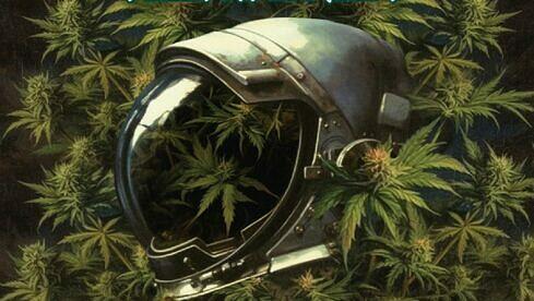 Hashtronaut NO RETURN