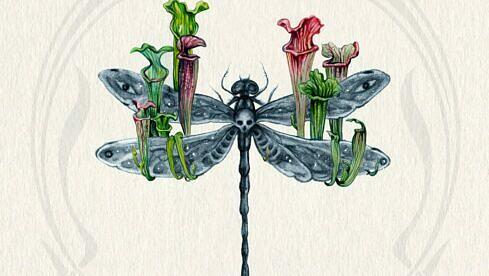 Botanist PALEOBOTANY