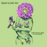 Brant Bjork Trio ONCE UPON A TIME IN THE DESERT