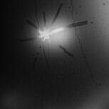 Touché Amoré SPIRAL IN A STRAIGHT LINE