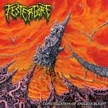 Festergore CONSTELLATION OF ENDLESS BLIGHT