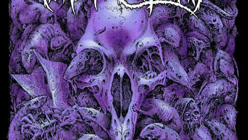 Rats Of Gomorrah INFECTIOUS VERMIN