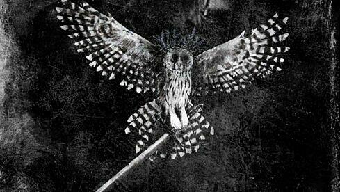 Havukruunu TAVASTLAND