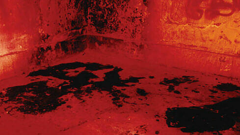 Vacuous IN HIS BLOOD