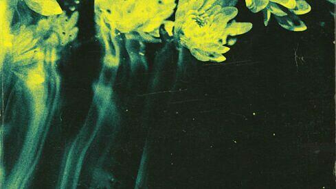 Balance Breach SAVE OUR SOULS