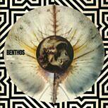 Benthos FROM NOTHING