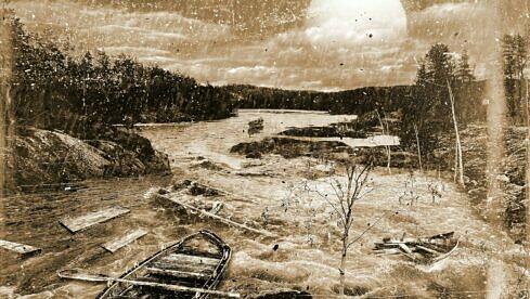 In The Woods... OTRA