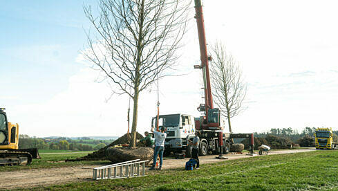 2025-04-15_Breeze-Baeume-8