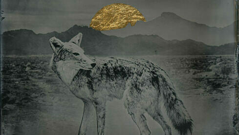 Steve von Till ALONE IN A WORLD OF WOUNDS