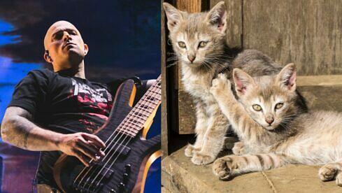 Paolo Gregoletto und andere von Trivium haben sich jüngst ein paar Kätzchen angenommen
