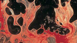 Metallica LOAD (Remastered)