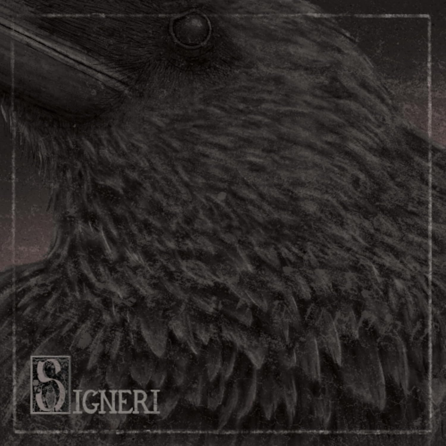 Review-Signeri-SIGNERI