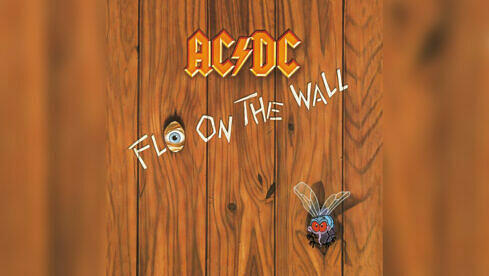 ACDC-Fly-q