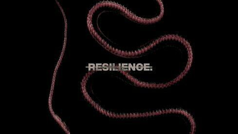 Throatcut. RESILIENCE