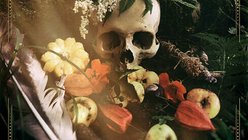 Osi And The Jupiter LAVARTUS